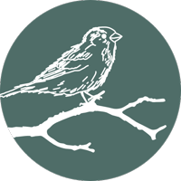 baumspatz