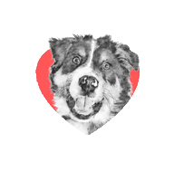 brittanychardpetillustrations