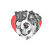 brittanychardpetillustrations