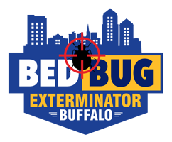 bedbugextbuffalo