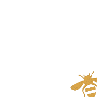 beeorganizedsfbay