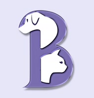 belluccimanila