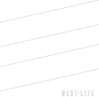 bestlifeleashes