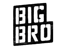 bigbrorussia