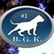 biggeminikennels02