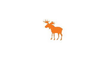 bigmoosecharity