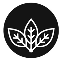 birchmoon