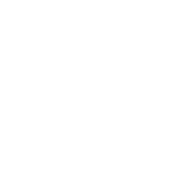 birdforgovernor