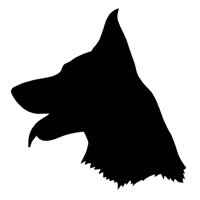 blackgermanshepherd