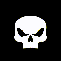 blackskullusa
