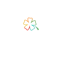 bloomgroup