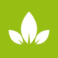 bodyhealthoficial