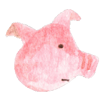 bonbonhuahua