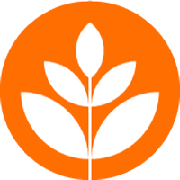 brandnewschool