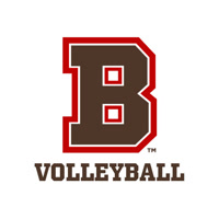 brownvolleyball