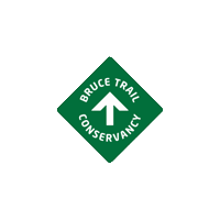 brucetrail_btc