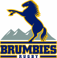 brumbiesrugby