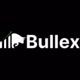 bullex09