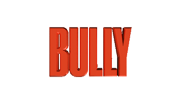 bullymag