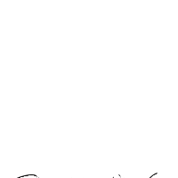 bullywiz
