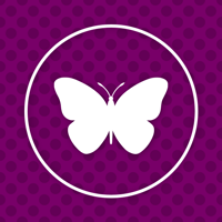 butterflyclub