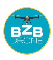 bzbdrones