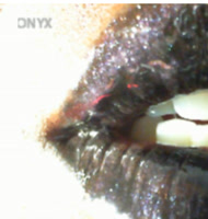 c21fb255eeb5ywhvby5jyq