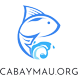 cabaymau