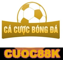 cacuocbongdainfo1