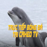 caheotvnet