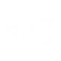 camelliagrovekombucha