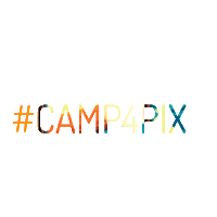 camp4collective