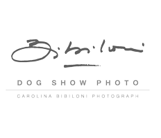carobibiloni