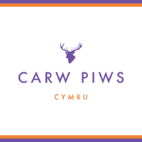 carwpiws