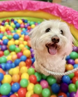 casperdetulear