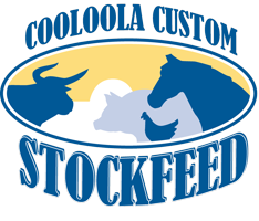 ccstockfeed