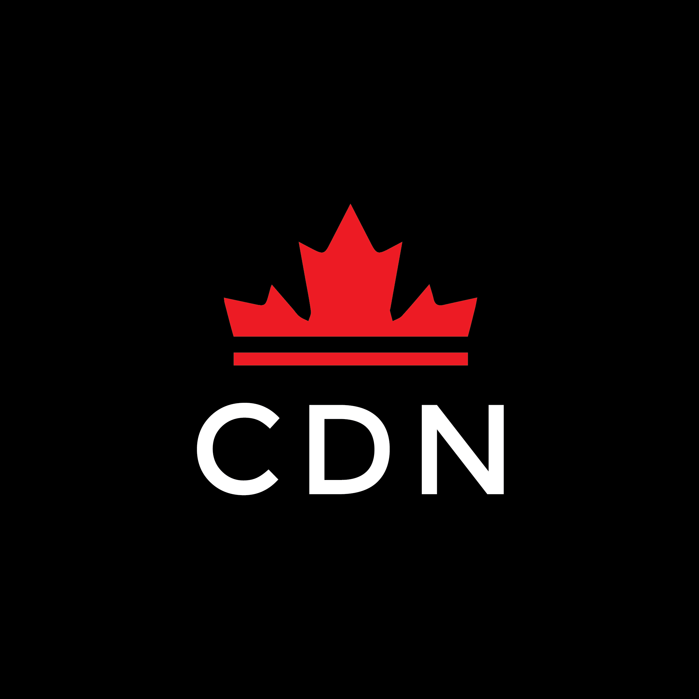 The Benefits of Using a Content Delivery Network (CDN) for Your Website