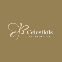 celestials12