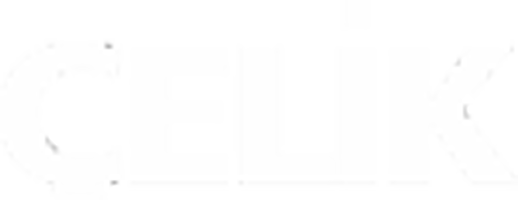 celikinsaat