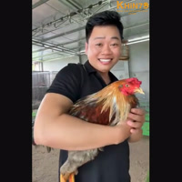 ceolongthomo