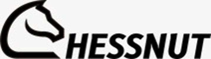 chessnutech