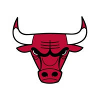 chicagobulls