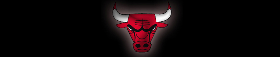 Chicago Bulls