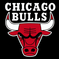 chicagobullstest