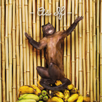 chkchkchk