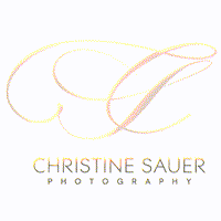 christine-sauer