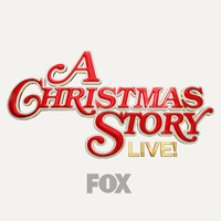 christmasonfox