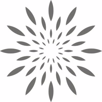 cleanic