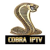 cobraiptvinfo