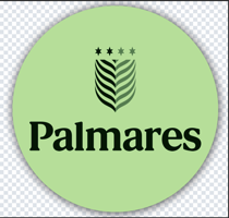 colegiopalmares